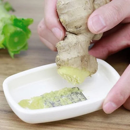 Multipurpose Garlic Ginger Grinding Plate (1 Pc)