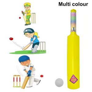 8026 Plastic Cricket Bat Ball Set for Boys and ...