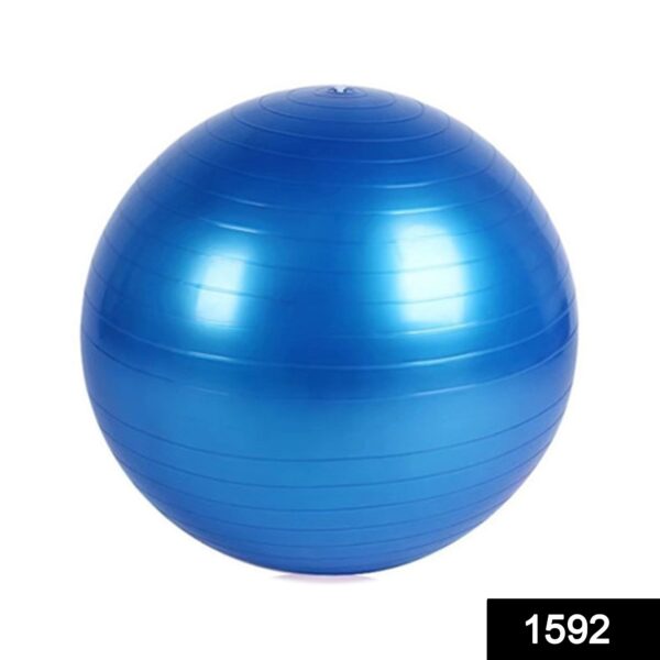 1592 Anti-Burst Exercise Heavy Duty Gym Ball (Multicolour) (75Cm) (No Box & No Pump)