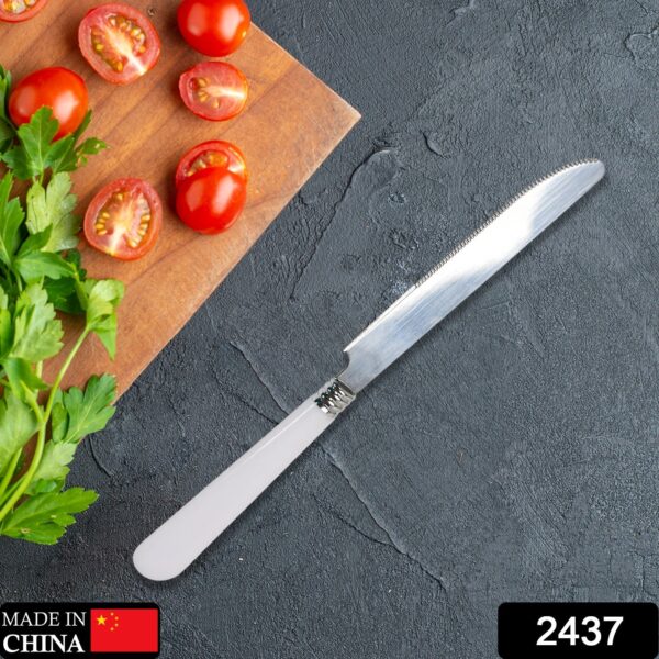 2437 Stainless Steel Modern Design Knife, Knifes Set With Round Edge Dishwasher