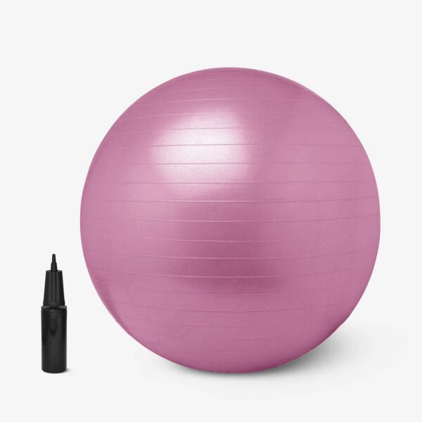9091 Anti Burst 65 cm Exercise Ball with Inflation Pump, Non-Slip Gym Ball, for Yoga, Pilates, Core Training Exercises at Home and Gym- Suitable for Men and Women