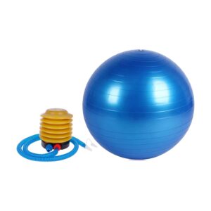 7428 Heavy Duty Gym Ball Non-Slip Stability Bal...