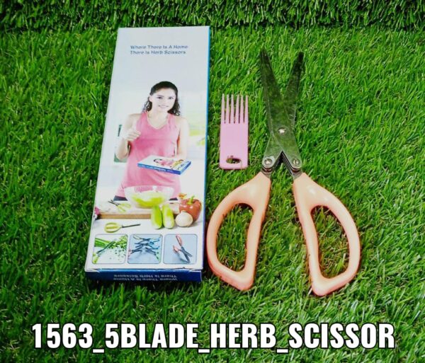 1563 Multifunction Vegetable Stainless Steel Herbs Scissor with 5 Blades