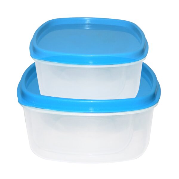 2196 Airtight Kitchen Storage Container for Multipurpose Use ( Set of 2)